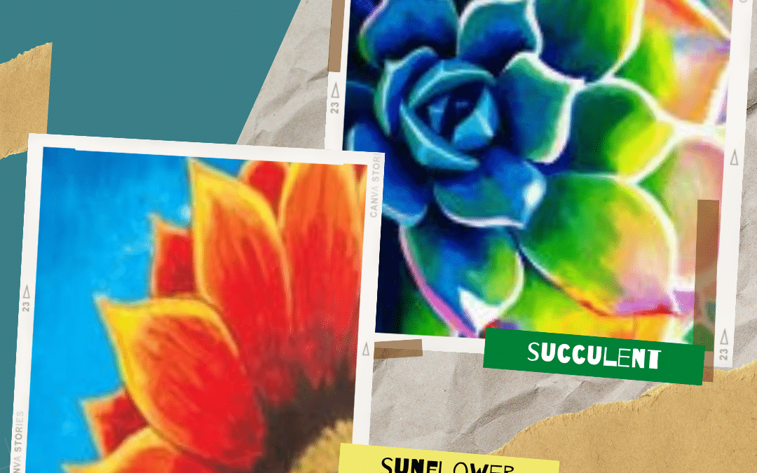 Succulent or Sunflower